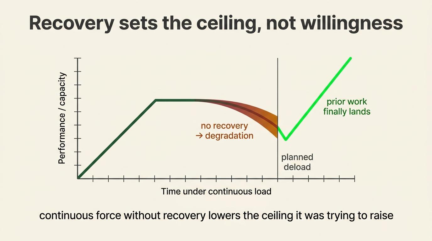 Recovery sets sustainable output capacity; willingness alone cannot raise that ceiling.